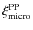 $\xi_{\rm micro}^{\rm PP}$