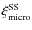 $\xi_{\rm micro}^{\rm SS}$