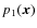 $p_1(\vec x)$
