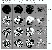 \begin{figure}\par\includegraphics[width=9cm]{11797fg2.eps} \end{figure}