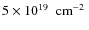 $5 \nobreak\times\nobreak10^{19} \nobreak\mbox{$\;$ cm$^{-2}$ }$