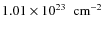 $1.01 \nobreak\times\nobreak10^{23}\nobreak\mbox{$\;$ cm$^{-2}$ }$