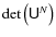 $\det\left(\tens U^N\right)$