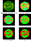 \begin{figure}
\par\begin{tabular}{cc}
\includegraphics[width=34mm]{11416f5.eps...
...1416f10.eps}\\
$c^*=3, V = 9885.71$\space & (a)\\
\end{tabular}
\end{figure}