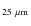 $_{25~\mu\rm
m}$