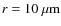 $r= 10~\mu \rm m$