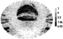 \begin{figure}
\par\includegraphics[width=8cm,clip]{12041fig01.eps}
\end{figure}