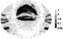 \begin{figure}
\par\includegraphics[width=8cm,clip]{12041fig02.eps}
\end{figure}