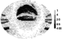\begin{figure}
\par\includegraphics[width=8cm,clip]{12041fig03.eps}
\end{figure}