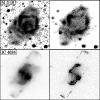 \begin{figure}
\par\includegraphics[scale=0.5]{12176f12.ps}
\end{figure}
