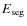 $E_{\rm seg}$