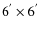 $6^{'}\times 6^{'}$