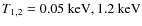 $T_{1,2} = 0.05~{\rm keV},
1.2~{\rm keV}$
