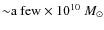 ${\sim}{\rm a~few} \times 10^{10}~M_\odot$