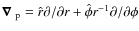 ${\mbox{\boldmath$\space \nabla $ }_{\rm p}}=\hat{r}\partial
/\partial r + \hat{\phi} r^{-1}\partial /\partial \phi$