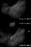 \begin{figure}
\par\resizebox{9cm}{!}{\includegraphics{1176526.ps}}
\end{figure}