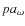$pa_{\omega }$