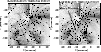 \begin{figure}\resizebox{9cm}{!}{\includegraphics[viewport=4 257 505
513]{Fig11.eps}}\end{figure}