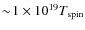 $\sim\! 1 \times 10^{19} T_{\rm spin}$