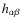$h_{\alpha \beta}$
