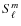 $S_{\ell}^{m}$