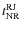 $t_{\rm NR}^{\rm RJ}$