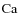 $\rm {Ca}$