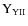 $\rm {Y}_{YII}$