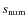 $s_{\rm num}$