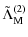 $\displaystyle \tilde{\Lambda}_{\rm M}^{(2)}$