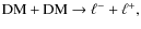 ${\rm DM} + {\rm DM} \to \ell^{-} + \ell^{+},$