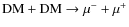 ${\rm DM} + {\rm DM} \rightarrow \mu^{-}+\mu^{+}$