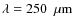 $\rm \lambda=250~~{\rm \mu m} $