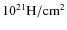 $\rm 10^{21}H/cm^{2}$