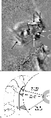 \begin{figure}
\par a)\includegraphics[width=8.5cm]{12229f8a.eps}\par b)\includegraphics[width=8.5cm]{12229f8b.eps}
\end{figure}