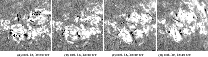 \begin{figure}
\par\mbox{ \includegraphics[width=4.5cm,clip]{12425f1a.ps} \inclu...
...c) Oct. 18, 15:29~UT}\hspace*{1.3cm}{\bf (d) Oct. 19, 15:49~UT}}
\end{figure}
