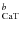 $_{\rm CaT}^b$