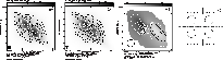 \begin{figure}\includegraphics[width=18cm,clip]{11698fA7}
\end{figure}
