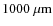 $\rm 1000~\mu m$