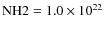 ${\rm NH2}=1.0 \times
10^{22}$