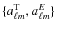 $\{a^{\rm T}_{\ell m},a^E_{\ell m}\}$