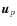 ${{\vec u}}_p$