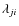 $\lambda_{ji}$
