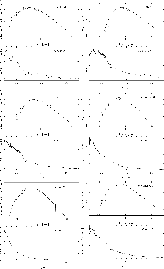\begin{figure}
\par\includegraphics[width=14.3cm,clip]{Fig5_Cstars.eps}
\end{figure}