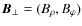 $\vec{B}_{\bot}=(B_{\rho}, B_{\varphi})$