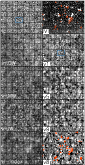 \begin{figure}
\par\includegraphics[width=7.3cm]{11851fg4.ps}
\end{figure}