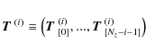 \begin{displaymath}
\mbox{\boldmath$T$ }^{(i)} \equiv \left( \mbox{\boldmath$T$ ...
...)}_{[0]}, ... ,\mbox{\boldmath$T$ }^{(i)}_{[N_z-i-1]} \right)
\end{displaymath}