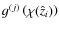 $g^{(j)}\left( \chi(\hat{z}_i) \right)$