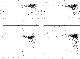 \begin{figure}
\par\includegraphics[width=14cm,clip]{09774fg2.eps} \end{figure}