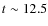 $t\sim 12.5$